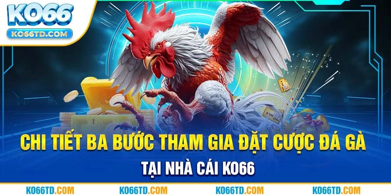 Chi tiết ba bước tham gia đặt cược đá gà tại nhà cái Ko66 