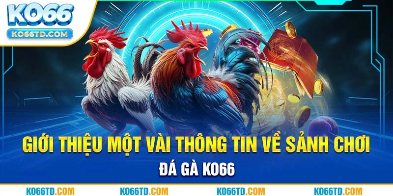 Giới thiệu một vài thông tin về sảnh chơi đá gà Ko66 