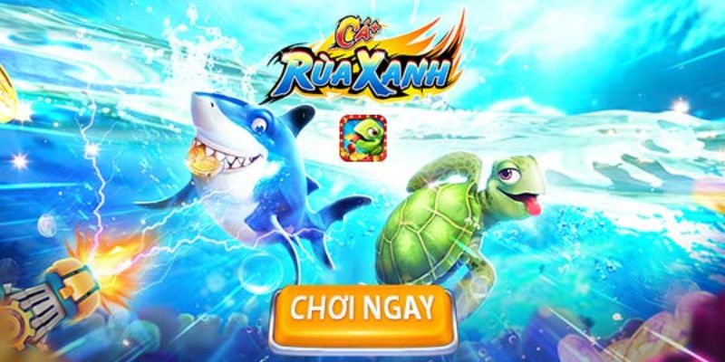 Nhà cái Ko66 - Nơi bạn bè gặp gỡ, cùng bắn cá rùa xanh  