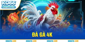 Đá gà 4K